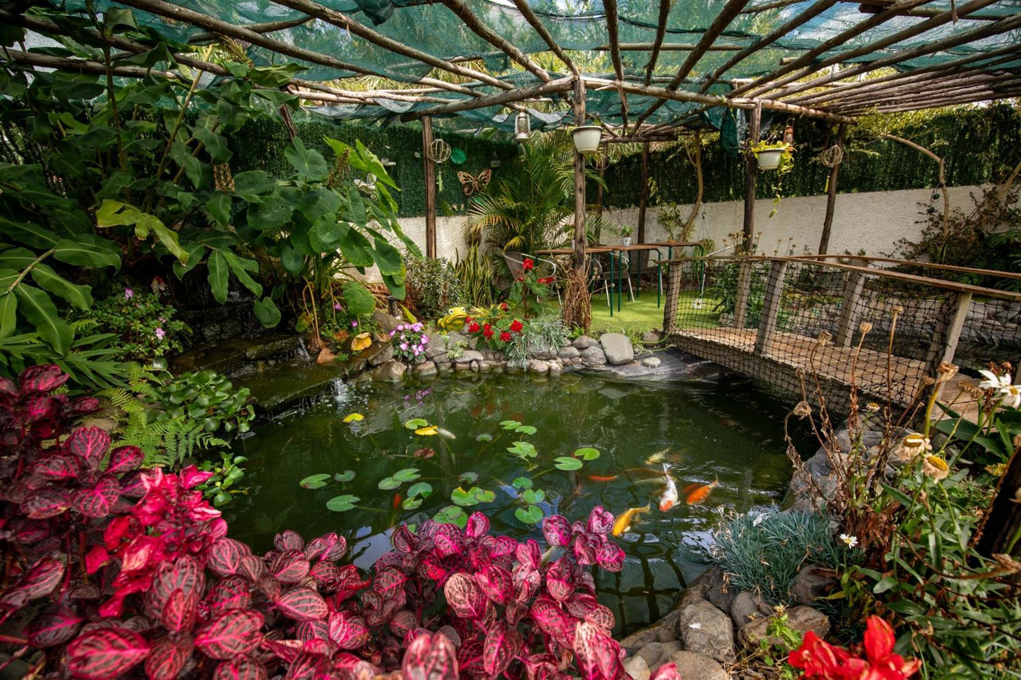 Levada House Prazeres Villa Buitenkant foto